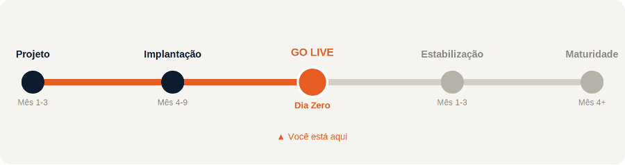 Figura que mostra linha do tempo implantação de implatnação e Go Live do Protheus 