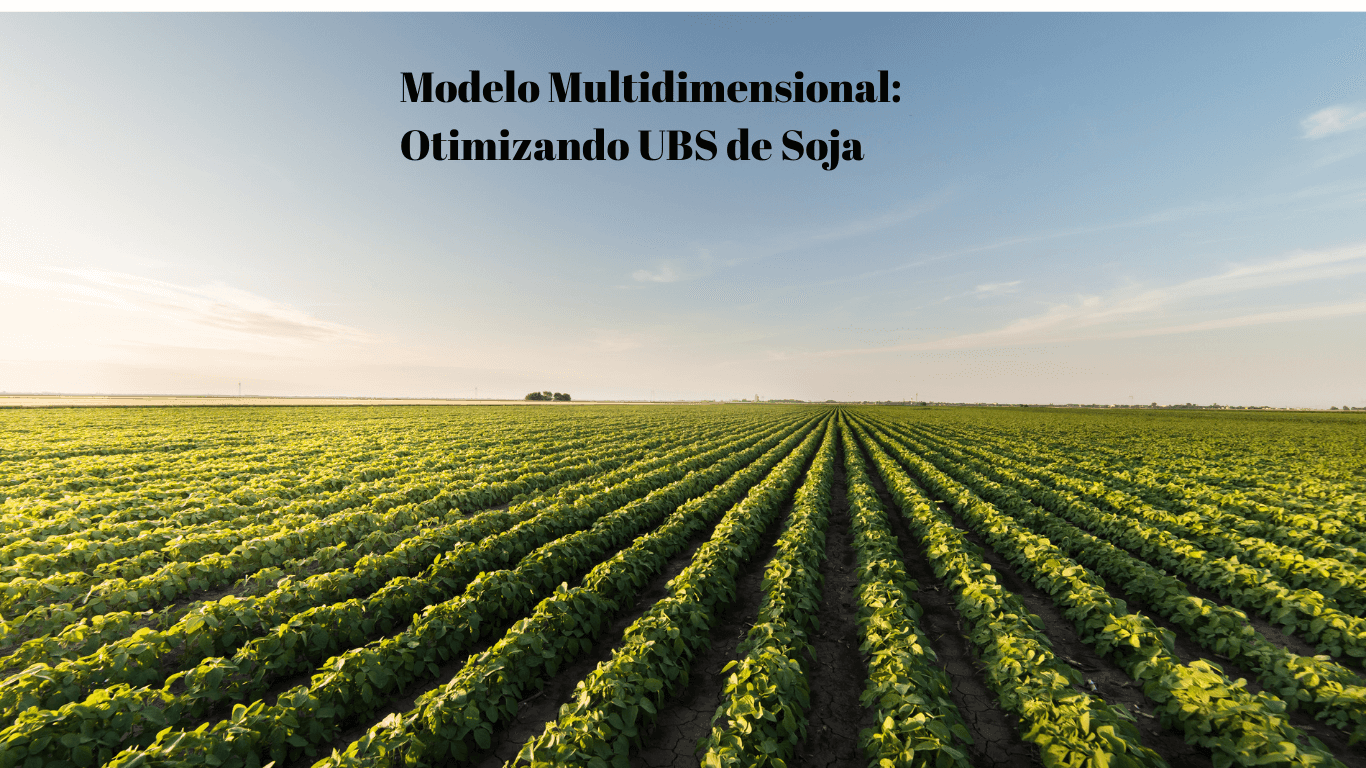 Plantação de Soja
