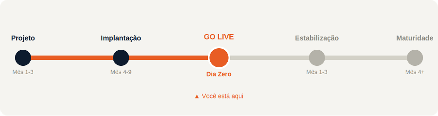 Figura que mostra linha do tempo implantação de implatnação e Go Live do Protheus